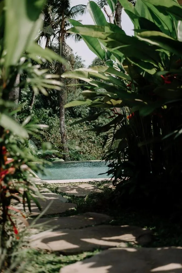 Villa Dharuna Ubud 0*, Ubud (Bali)