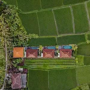 Villa Airsania Antique, Ubud (Bali)
